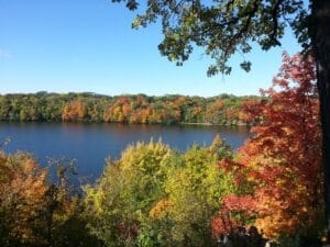 fall foliage 640070